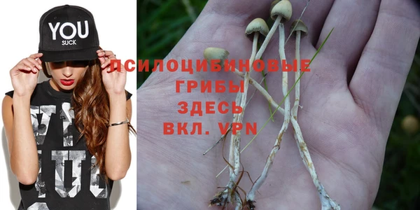 крисы Верхнеуральск