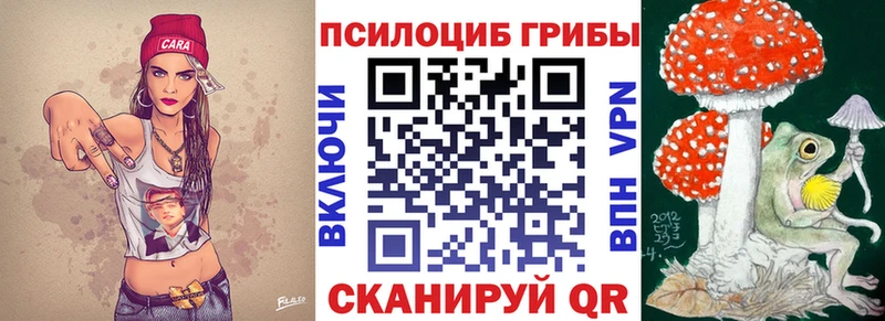 где купить наркоту  Кизляр  Галлюциногенные грибы мицелий 