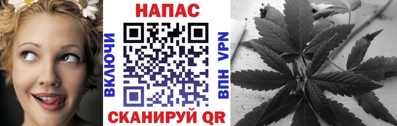 ОМГ ОМГ   хочу наркоту  Кизляр  Бошки марихуана White Widow 